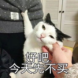  六一最火表情合集,打遍朋友圈无敌手