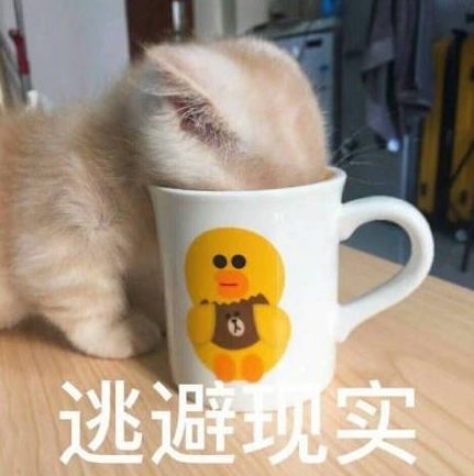  一大波猫咪表情包,快收藏吧