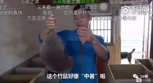 华农兄弟表情包中暑常在