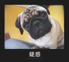  这是什么品种的够,有图,谢谢