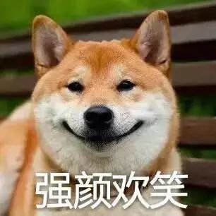  萌宠课堂猫咪掉毛严重怎么办