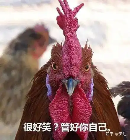  超市20块一只的烤鸡,吃了会中毒吗