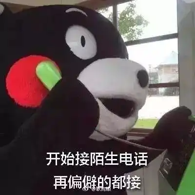 今天元气满满表情包揭密