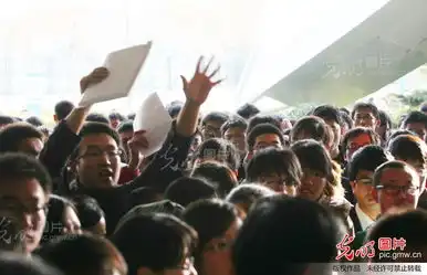  山东青岛大学生求职表情
