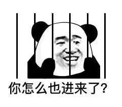 表情包里藏字无聊