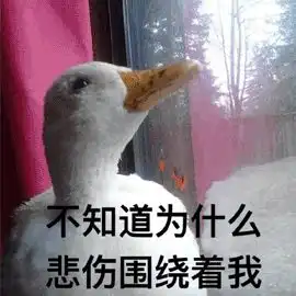  35岁女博士要求春节多加班领导觉得太反常,真相竟是......