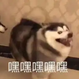  猫晚舞美大揭秘,电商晚会还能这么玩