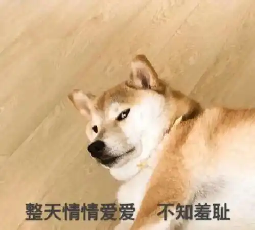 恋爱前男神vs恋爱后奶狗众筹姐妹出个书吧