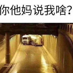  哈哈哈哈哈哈卡车人专属笑特么死我了
