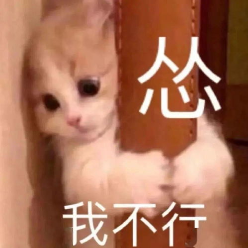  沙雕表情晚上睡不着,打给我