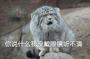  今天讲一个足球界的老司机被爆料后翻车的故事