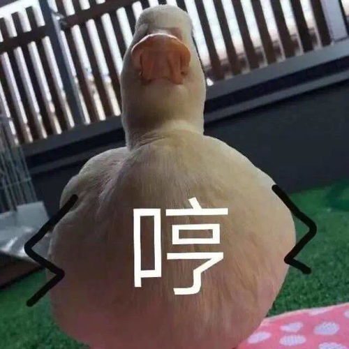 很火表情包图片短视频