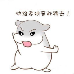  断崖式降温今天你是被冻醒的吗低温来袭,御寒小编就一招
