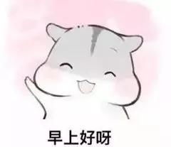 早早上好表情包表情