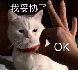  翻遍整个淘宝,这30件衬衫千万别收藏,我怕你件件都想买
