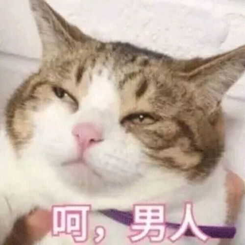  这部新剧告诉我们,男人都是大猪蹄