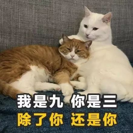  土味情话套路表情包学到就是赚到,拿去撩你的男女神