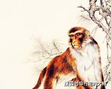  容易遇到好老公的3个生肖女,真心换真心,幸福婚姻多年不变
