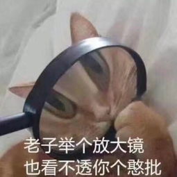  成年人最常用的20句潜台词,哈哈哈哈哈不愧是我