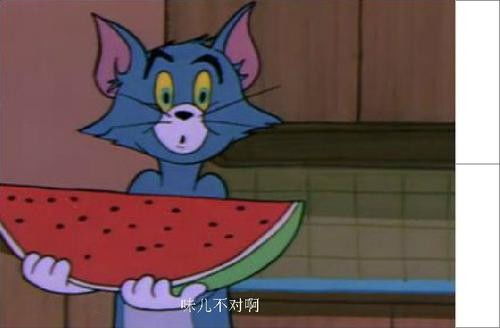  猫和老鼠表情包