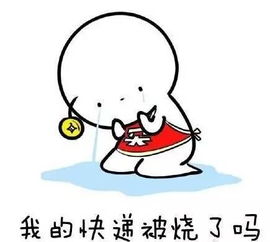  北京高速路现百发百中弹弓手biubiubiu连续弹射行驶车辆