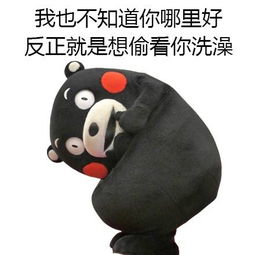  求熊本表情包ω