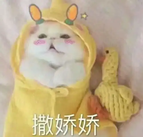  啊啊啊啊啊,都好可爱丫,全部抱走