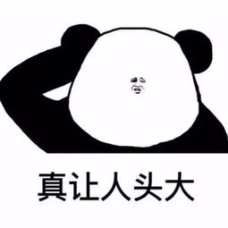  奥迪插队被撞司机照片被做成表情包疯传没想到真相竟是