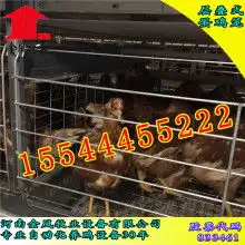  2018养鸡设备价格报价养鸡设备批发第9页黄页88农机网