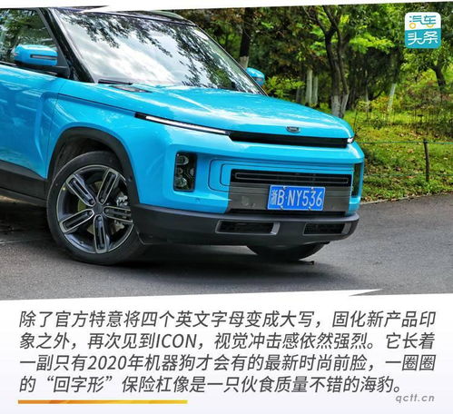  除了丑不丑,吉利icon没有争议