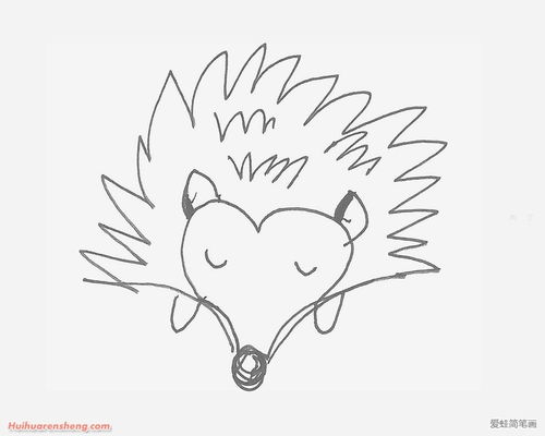  卡通小刺猬简笔画