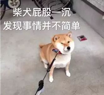  有多少人在蚂蚁森林里分了手