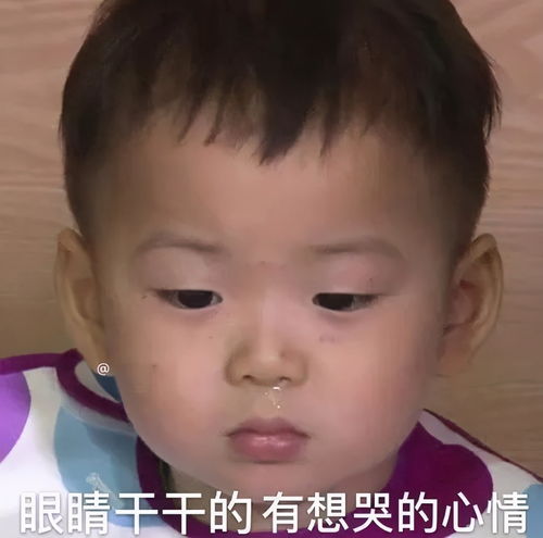  斗图表情包合集姐姐在干嘛