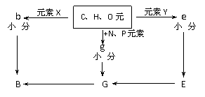  下列性状中属于相对性状的是a.人的身高与体重b.兔的长毛与短毛c.猫的白毛与蓝眼d.棉花的细绒与长绒精英家教网