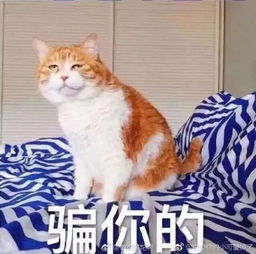  愚人节,娱人不愚人