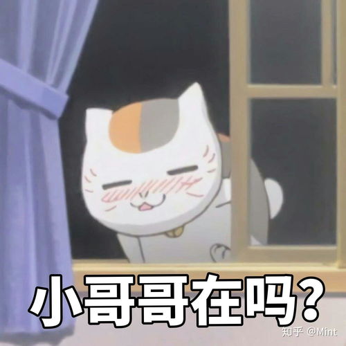 没有表情包图片换季