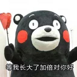  申晨间不敢病不敢穷不敢远嫁上海这批独生子女快撑不住了