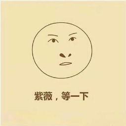  神技能手把手教你画尔康表情包,笑出腹肌