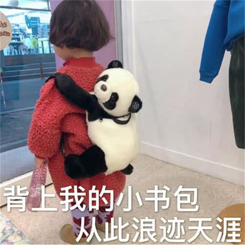  表情包穷人不说暗话,发个红包吧哥哥