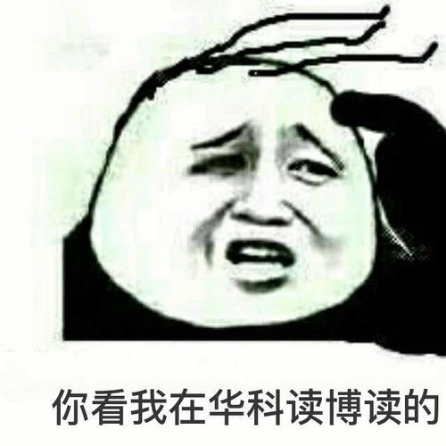  最全华科表情包来袭
