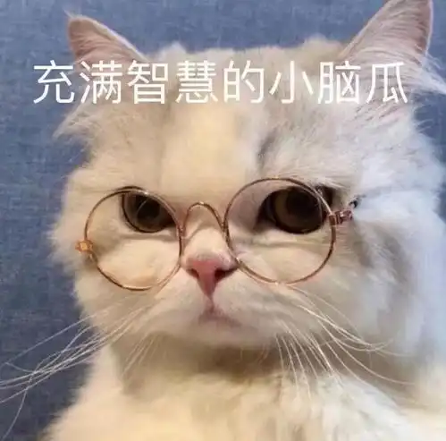  一些奇奇怪怪的猫猫表情包11
