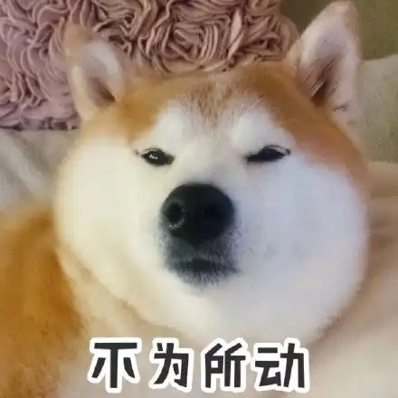  柴犬带字图片表情包无水印版