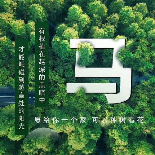  春天换张新头像,绿色主题不一样,35张姓氏壁纸等待春暖花开