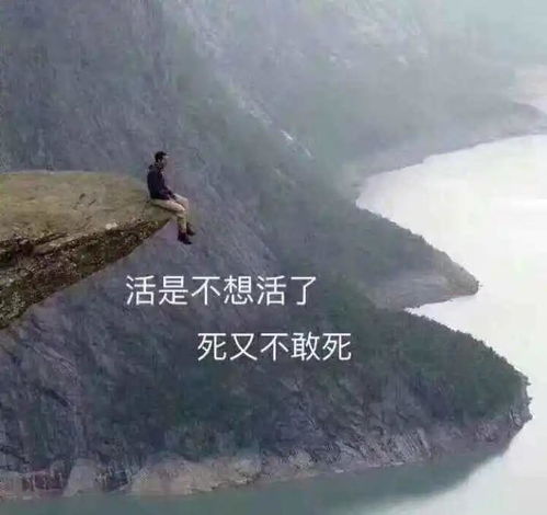  冲刺阶段怎么整这份全年热点专题合辑助你芜湖起飞