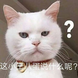 不正经表情包的见