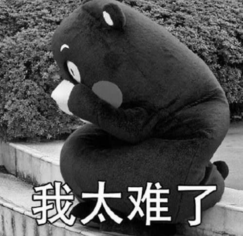  2月suv市场top15自主强劲15进9德系发力日系静悄悄