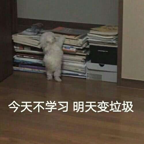  学习励志表情包