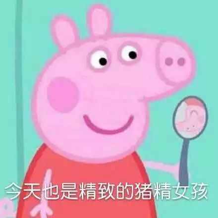  2017年度表情包大赏没用过这些表情包,你的2017年就白过了