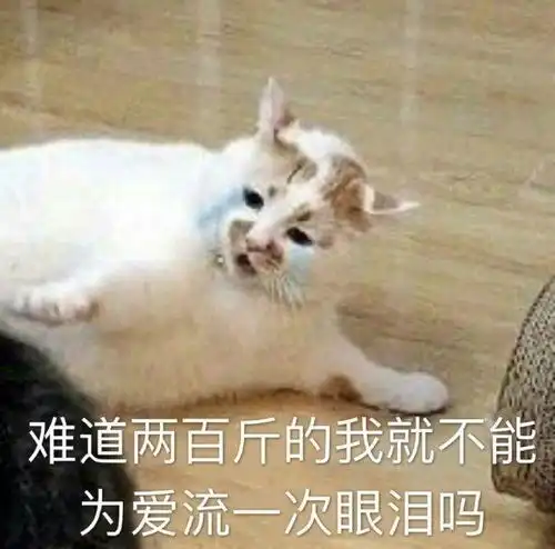  为什么有些女孩子明明很好看却一直单身