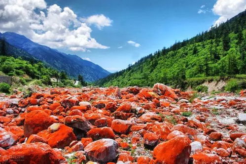  50岁前一定要去的85个地方,第1个就害我想入